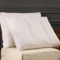 Housse de coussin de coussin de preuve de plume blanche de haute qualité de 100% coton